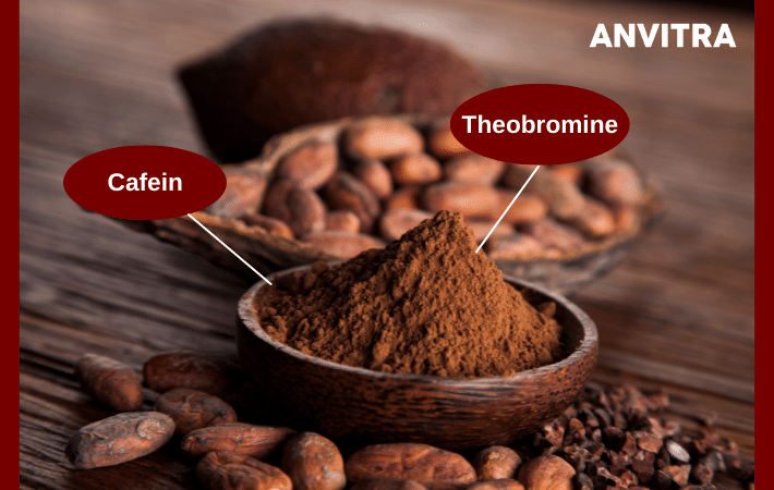 Trong cacao có chứa caffein và theobromine