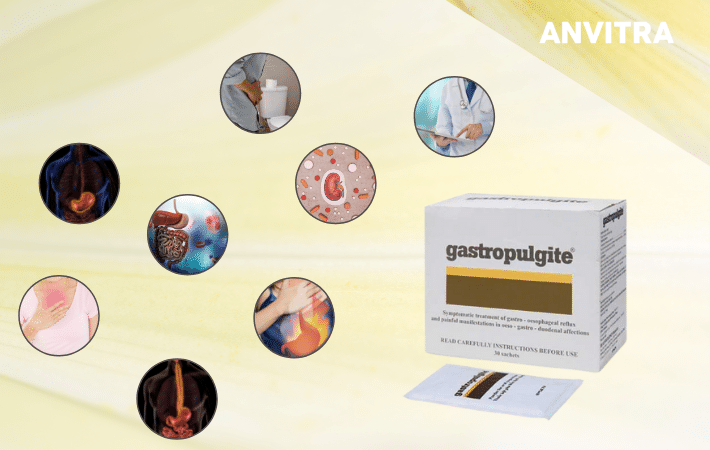 Thuốc Gastropulgite được dùng trong việc điều trị, kiểm soát, phòng chống và cải thiện các bệnh, hội chứng và triệu chứng