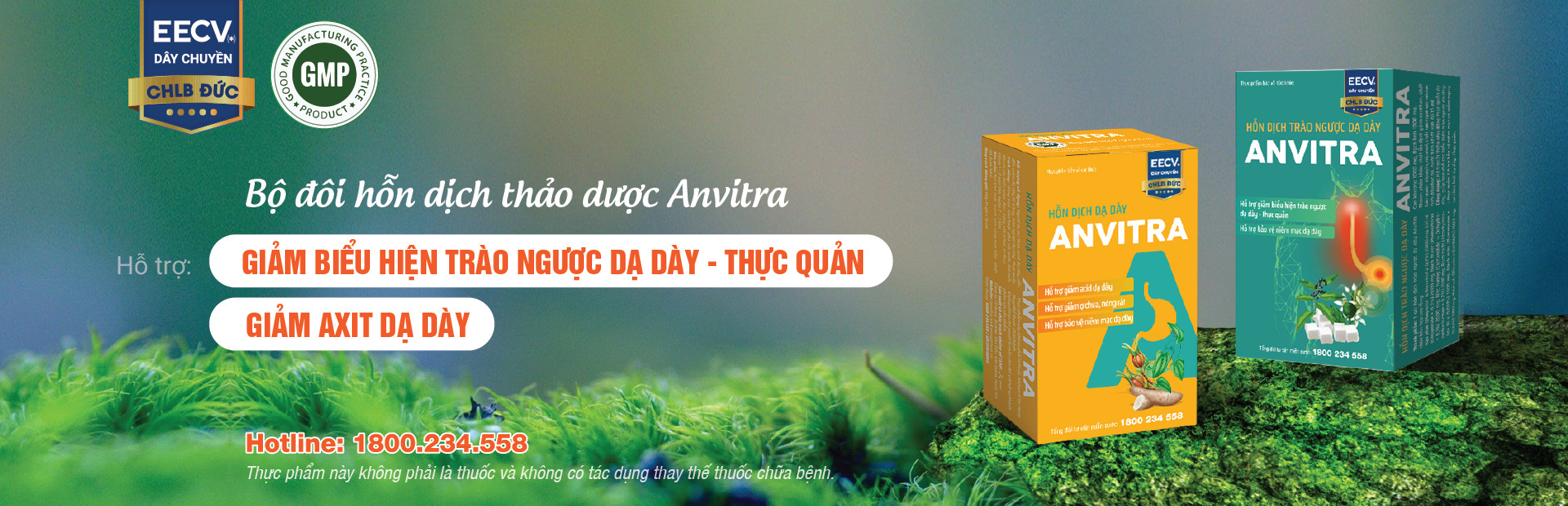 Hỗn dịch thảo dược Anvitra dạ dày