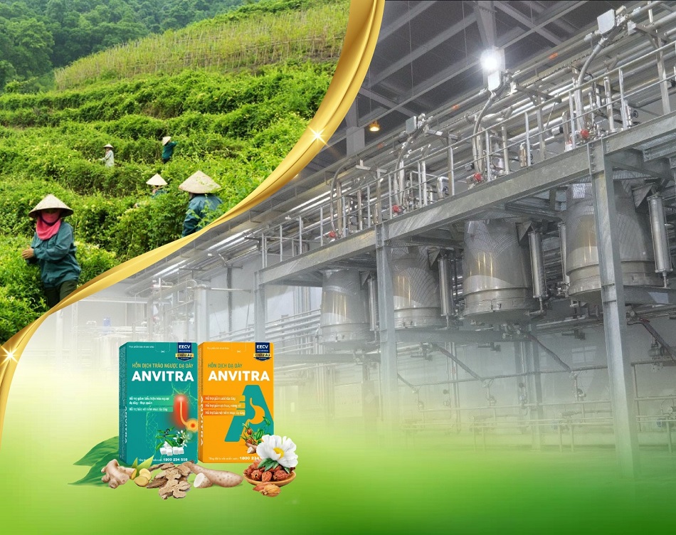 Bộ đôi Anvitra sản xuất tại nhà máy đạt chứng nhận ISO 22000, HACCP, nguyên liệu từ vùng trồng đạt chuẩn GACP-WHO