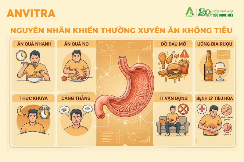 Nguyên nhân khiến ăn không tiêu