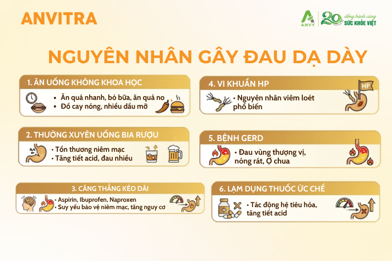 Nguyên nhân đau dạ dày