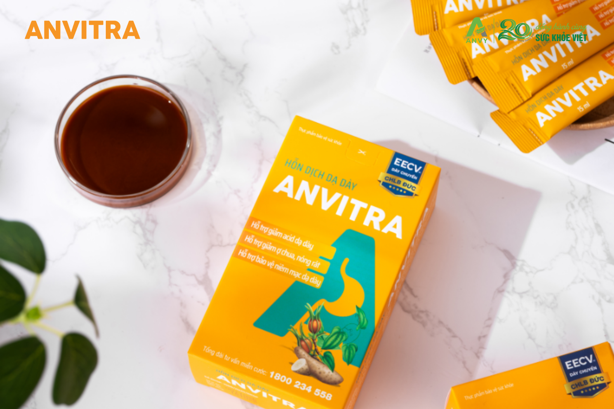 Hỗn dịch dạ dày Anvitra