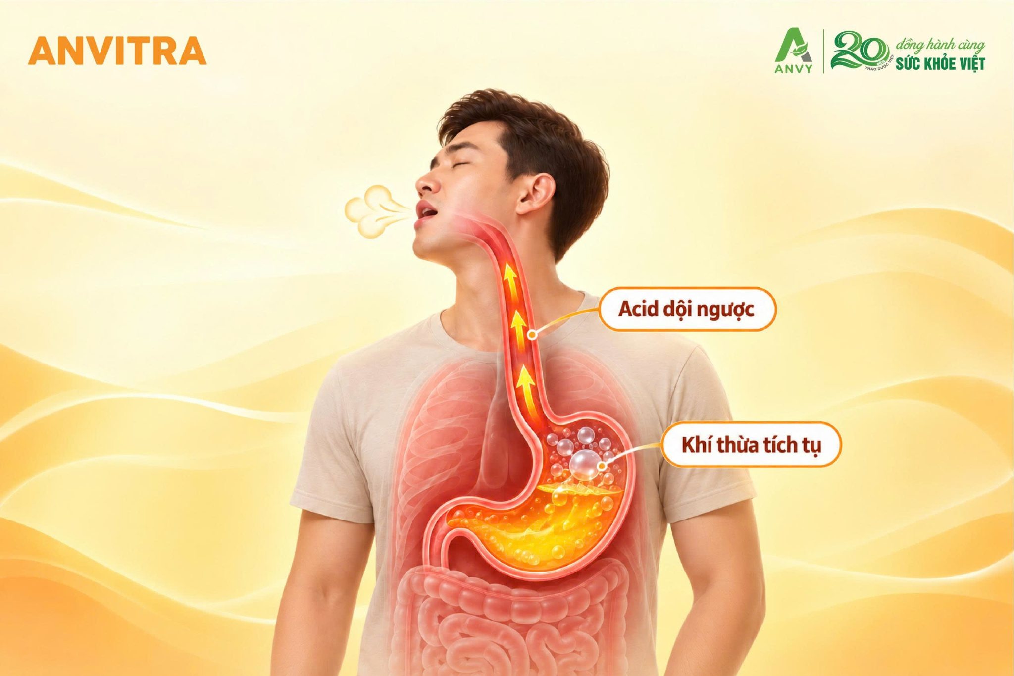 Ăn xong ợ hơi là bệnh gì và sự tác động của axit dạ dày trong cơn trào ngược