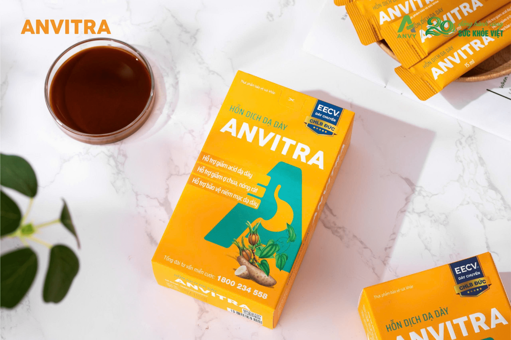 Hỗn dịch dạ dày Anvitra