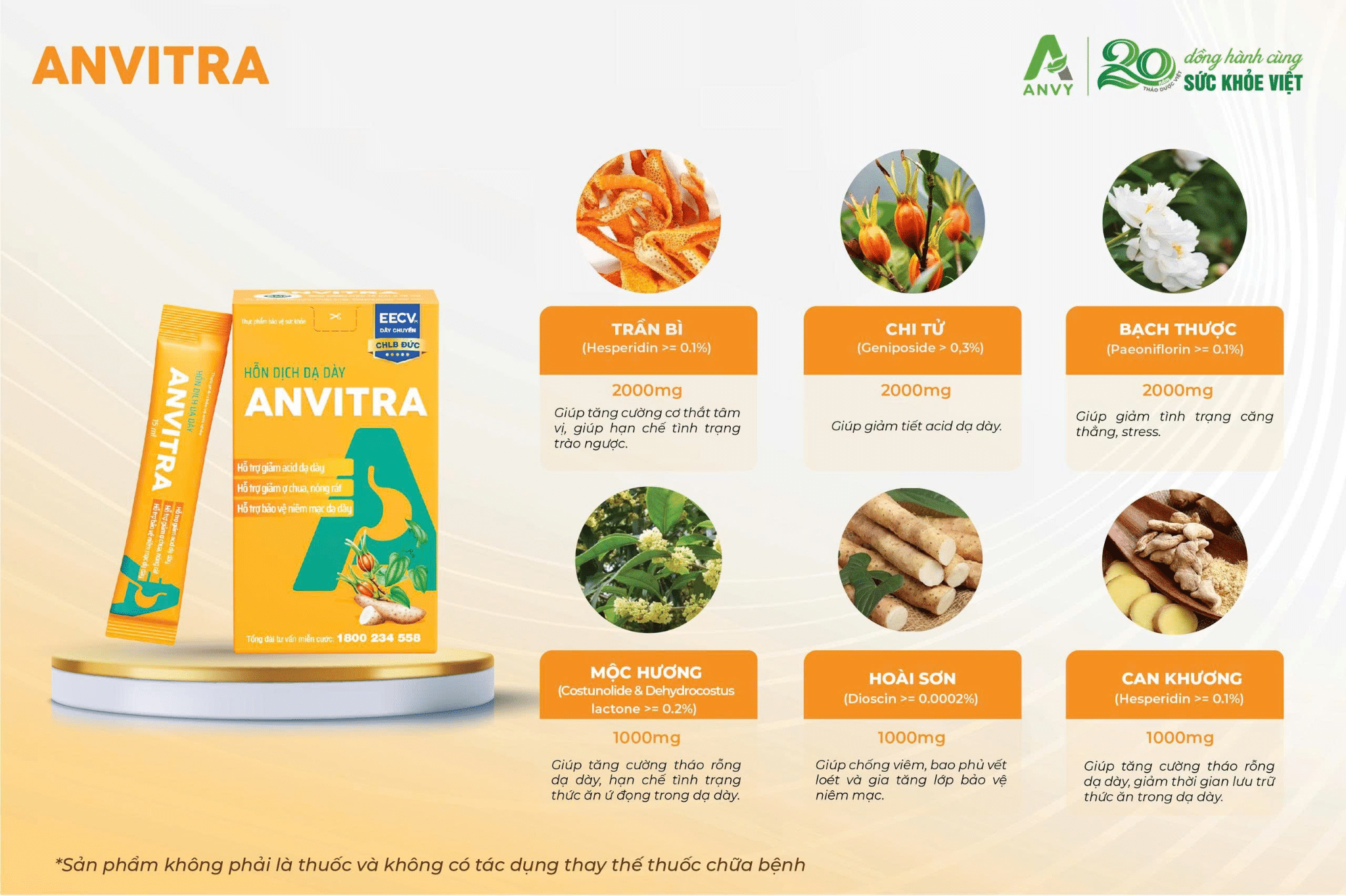 Hỗn dịch dạ dày Anvitra 