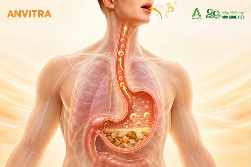 Hiện tượng bị ợ hơi nhiều là bệnh gì và liên quan thế nào đến chế độ ăn khi bị đau dạ dày