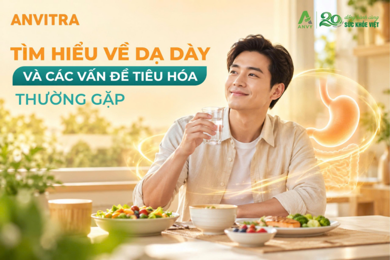 Tìm Hiểu Về Dạ Dày Và Các Vấn Đề Tiêu Hóa Thường Gặp