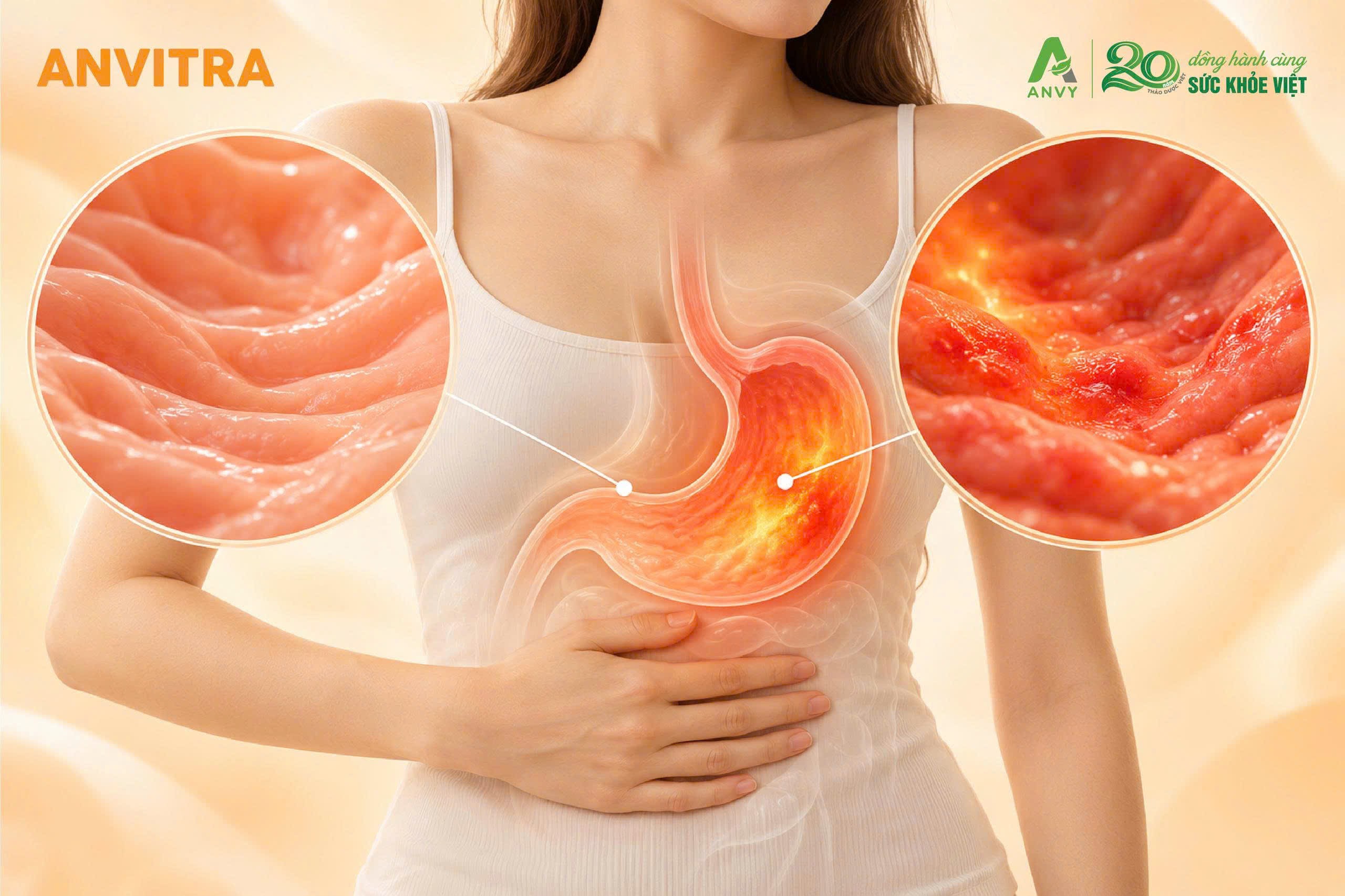 Nhận biết sớm các triệu chứng của dạ dày giúp chủ động chăm sóc tiêu hóa.
