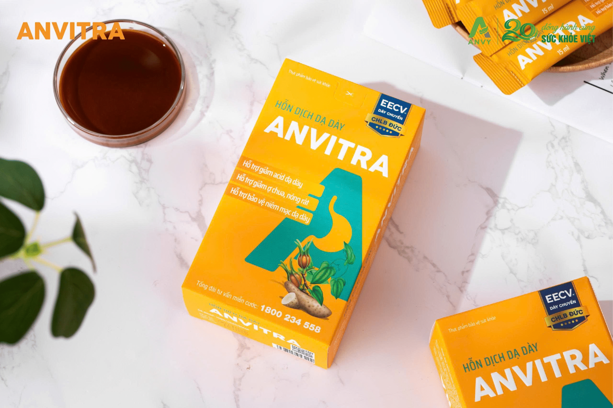 Hỗn dịch dạ dày Anvitra